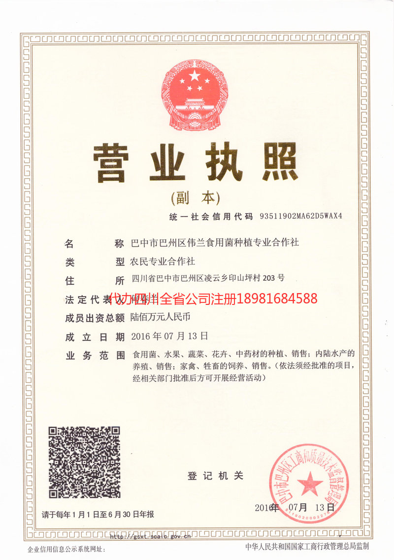 启东启东伟兰食用菌种植专业合作社